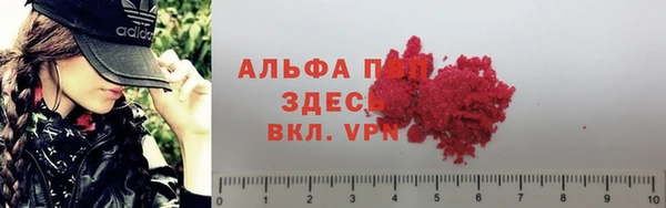 ECSTASY Белоозёрский