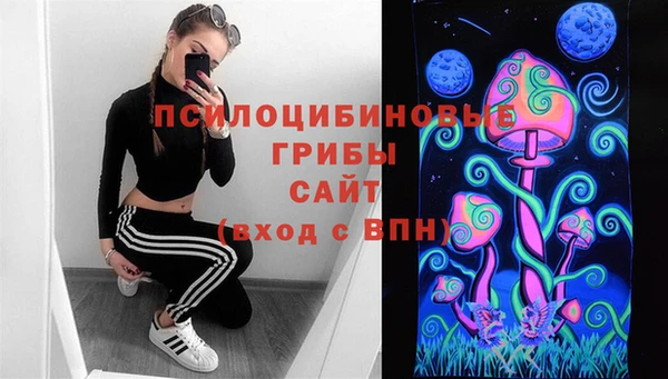 скорость Белокуриха