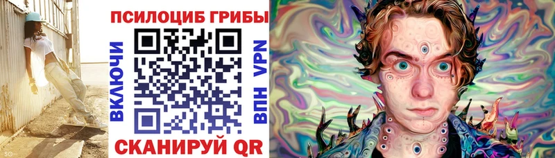 Купить закладки  Курганинск  Псилоцибиновые грибы ЛСД 